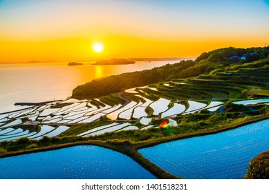 Doya Tanada, Sunset On The Rice Field, Kyushu, Japan