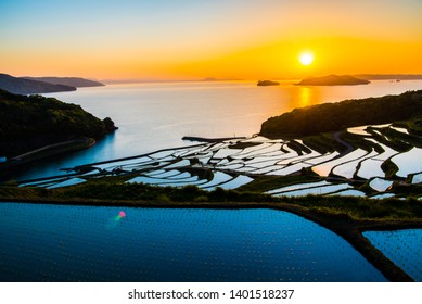 Doya Tanada, Sunset On The Rice Field, Kyushu, Japan