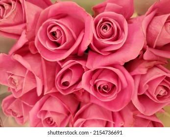 A Dozen Bright Coral Pink Roses Floral Bouquet