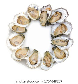 Dozen Chesapeake Bay Raw Oysters Simply Arranged On A Paper Plate. Isolated.