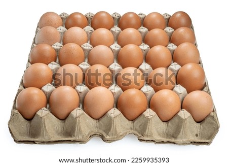 Dozen chicken  eggs in carton box on white background, Eggs in cardboard box on White With clipping path.