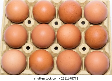 Dozen Eggs In The Carton Egg Carton