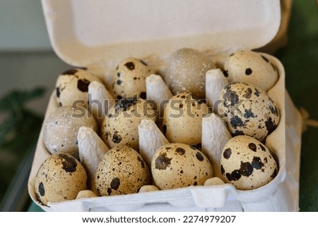 a dozen eggs of a quail in a box