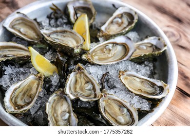 dozen oysters dish with crushed ice  and lemon on a wooden table 