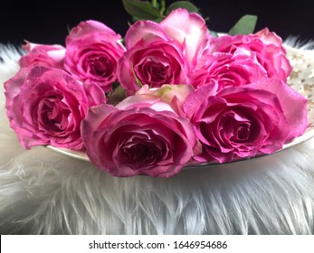 A Dozen Pink Roses Laying A White Plate.