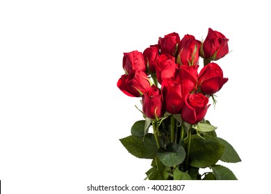 Dozen Red Roses Isolated On White Background