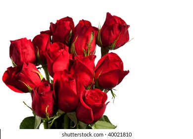 Dozen Red Roses Isolated On White Background