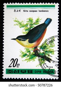 DPR KOREA - CIRCA 1988: A stamp printed in DPR Korea (North Korea) shows Eurasian Nuthatch - Sitta europaea, circa 1988