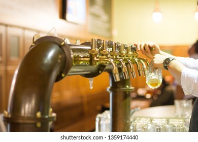 Draft Beer In Brno,starobrno Brewery