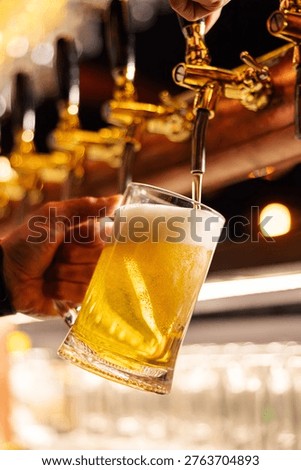 Draft beer pouring from tap into glass mug with foam
Close up of bartender pouring fresh beer at bar
Golden beer being served from tap with rich foam head
