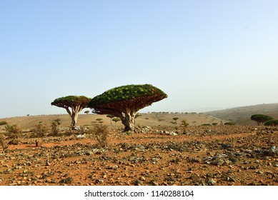 Dixam Plateau Images Stock Photos Vectors Shutterstock