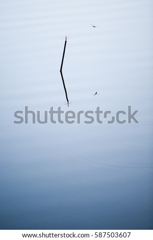 Similar – Image, Stock Photo spring lamp Colour photo