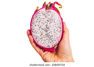 Dragon Fruit, Fresh Organic Harvest With Hand Holding. Isolated On White Background. Idea Of Vibrant And Healthy Food.