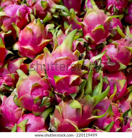 Dragon fruitbackground texture