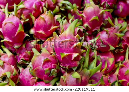 Dragon fruitbackground texture