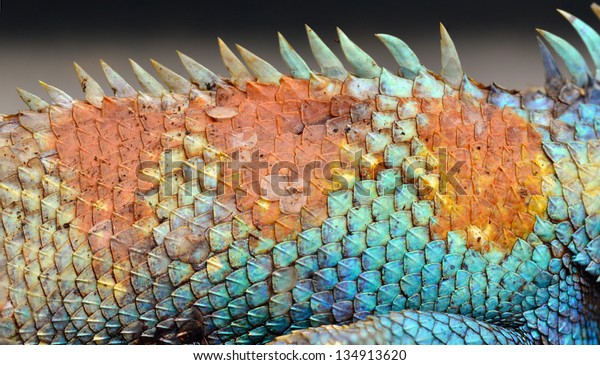 Dragon Skin Pattern Texture Background Stock Photo (Edit Now) 134913620