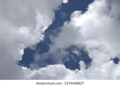 Dragonflies in the cloudfilled sky