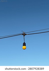 Dragonfly Perched on Outdoor String Light Against Clear Blue Sky