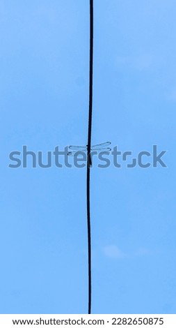 Similar – Image, Stock Photo On the line Harmonious