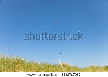 Similar – Flying rainbow kites coast