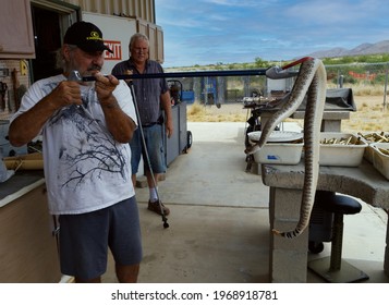 Dragoon, Arizona : Circa July 2017  

Diamondback Rattlesnake, A Dangerous Beast With A Mean Temper Being Loaded Into A Bucket.
Neighbor Helping Neighbor By Capturing A Diamondback Rattlesnake.