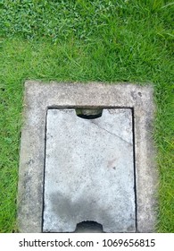Drain on the lawn,Background.
