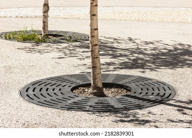 Drainage grate for tree. Rainwater Drainage System on paving stone around tree trunk. Tree trunk bed decoration. - Powered by Shutterstock