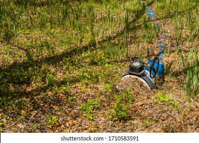 Drainage Sump Pump With Attached Blue Hose In Public Woodland Park