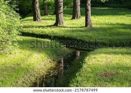 drainage and drainage system in the park, natural natural drainage of beautiful green steam