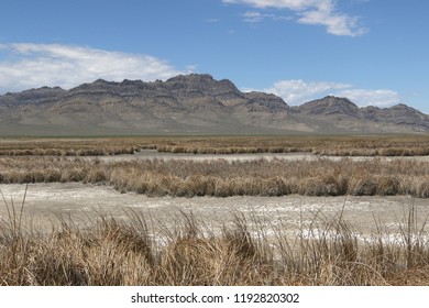 Drained Wetland At Fish Springs National Wildlife Refuge, Utah