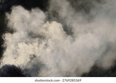 A dramatic abstract of thick bonfire smoke billowing like a sea of clouds, symbolizing the complex cycles and deep undulations of human life. A poetic vision of transformation and growth. Tochigi, Japan.