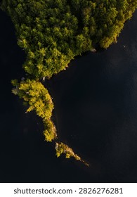 A dramatic aerial view of a forested point extending into the calm waters of Lake St George in Liberty, Waldo County, Maine. Dense green trees contrast with the dark reflective lake surface, creating a peaceful and scenic natural landscape from above.