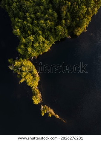 A dramatic aerial view of a forested point extending into the calm waters of Lake St George in Liberty, Waldo County, Maine. Dense green trees contrast with the dark reflective lake surface, creating a peaceful and scenic natural landscape from above.