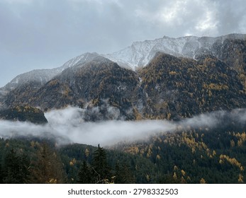 A dramatic Alpine landscape captures the transition between autumn and winter, with golden larch trees blanketing steep mountain slopes beneath fresh snow on rocky peaks. Low-lying clouds drift through the valley creating a mystical layered effect between the forest and the snow-capped summits. The moody overcast sky adds atmosphere to this seasonal mountain scene typical of the European Alps.