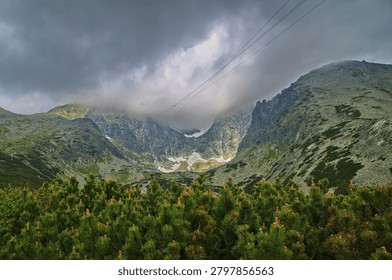 Dramatic alpine mountain landscape with rugged rocky peaks, low clouds, lingering snowfields, and dense dwarf pine vegetation. Scenic wilderness environment showcasing the beauty of high-altitude terrain, outdoor adventure, hiking, and untouched natural ecosystems.