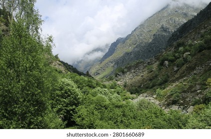 Dramatic alpine valley with low clouds and mist wrapping rocky mountain peaks, lush green forest in summer