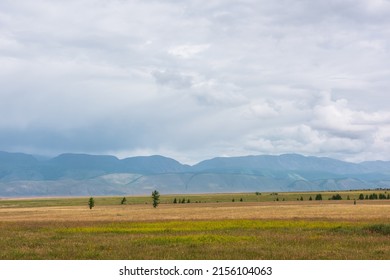 Dramatic alpine view to sunlit steppe and somber large mountains in low clouds during rain. Gloomy mountain landscape with bleak mountain range in rain and steppe in sunlight in changeable weather. - Shutterstock ID 2156104063