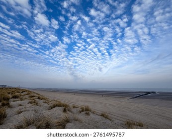 Dramatic altocumulus clouds over sand dunes and tidal flats at Nieuwpoort beach, Belgium coast
