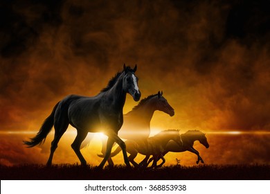 Dramatic Apocalyptic Background Four Running Black Horses Red Glowing Clouds Dramatic Apocalyptic Background Four Running Black Horses Red Glowing Clouds