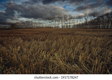 悲しい 風景 の写真素材 画像 写真 Shutterstock