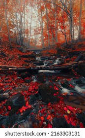 dramatic autumn landscape in the mountains, vertical autumn scenery, Ukraine, Europe, Carpathian mountains