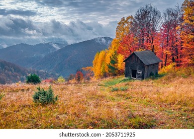 Dramatic autumn view of the mountain forest. Fall in mountain village, Carpathians, Ukraine, Europe. Beauty of nature concept background.