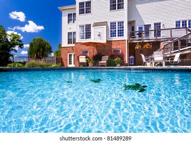 Dramatic Back Yard Swimming Pool And Garden Behind Modern Single Family Home