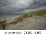 Dramatic Baltic Sea under menacing dark clouds. Wild beach grass sways on windswept dunes as steel-gray waves crash against the shore, creating a moody coastal wilderness.