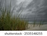 Dramatic Baltic Sea under menacing dark clouds. Wild beach grass sways on windswept dunes as steel-gray waves crash against the shore, creating a moody coastal wilderness.