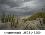 Dramatic Baltic Sea under menacing dark clouds. Wild beach grass sways on windswept dunes as steel-gray waves crash against the shore, creating a moody coastal wilderness.