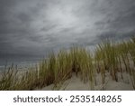 Dramatic Baltic Sea under menacing dark clouds. Wild beach grass sways on windswept dunes as steel-gray waves crash against the shore, creating a moody coastal wilderness.