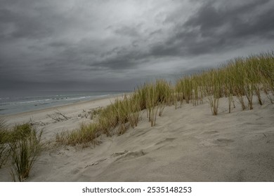 Dramatic Baltic Sea under menacing dark clouds. Wild beach grass sways on windswept dunes as steel-gray waves crash against the shore, creating a moody coastal wilderness. - Powered by Shutterstock