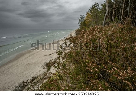 Similar – Image, Stock Photo Dramatic Baltic Sea against the light b/w
