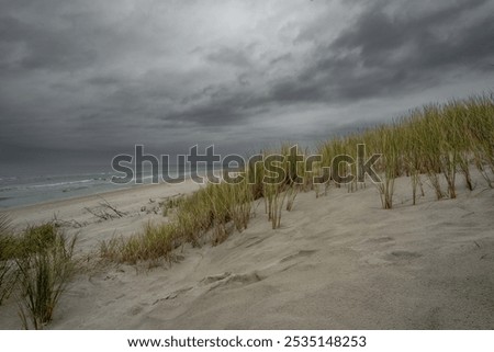 Similar – Image, Stock Photo The Gray Dunes, or the Dead Dunes is sandy hills with a bit of green specks at the Lithuanian side of the Curonian Spit